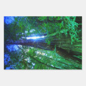 密密林デコページ高品質Wr ラッピングペーパーシート (正面3)