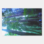 密密林デコページ高品質Wr ラッピングペーパーシート (正面2)