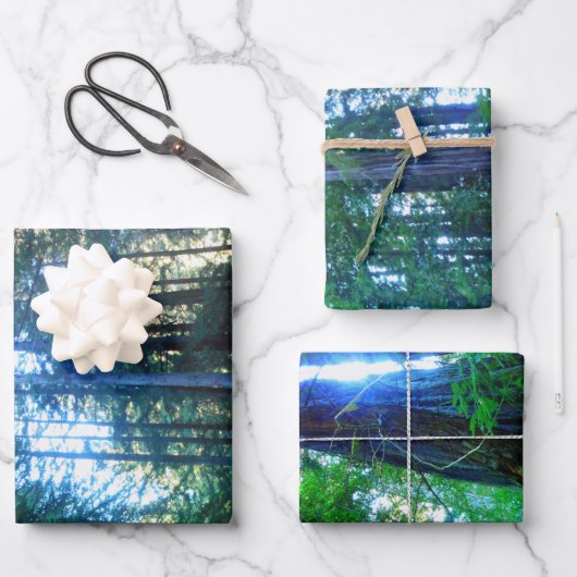 密密林デコページ高品質Wr ラッピングペーパーシート (正面)