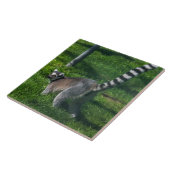 密集陶磁器タイルを上に立ち上げる タイル (側面)