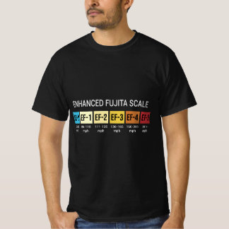 富士スケール竜巻流星を追う嵐 Tシャツ