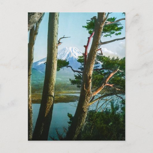 富士山が森の中をヴィンテージ日本 ポストカード (正面)