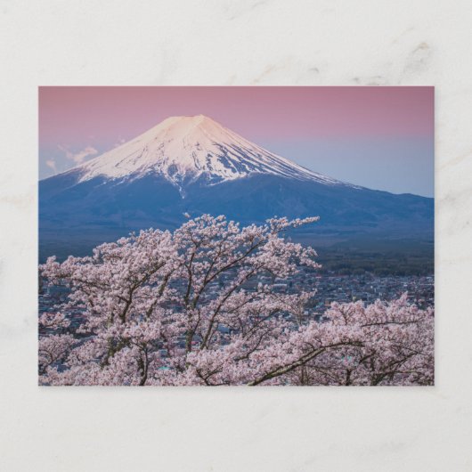 富士山とさくらんぼの花 ポストカード (正面)