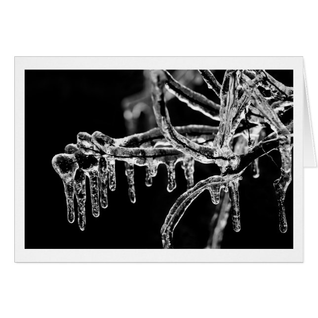 寒い冬に入る (正面横)