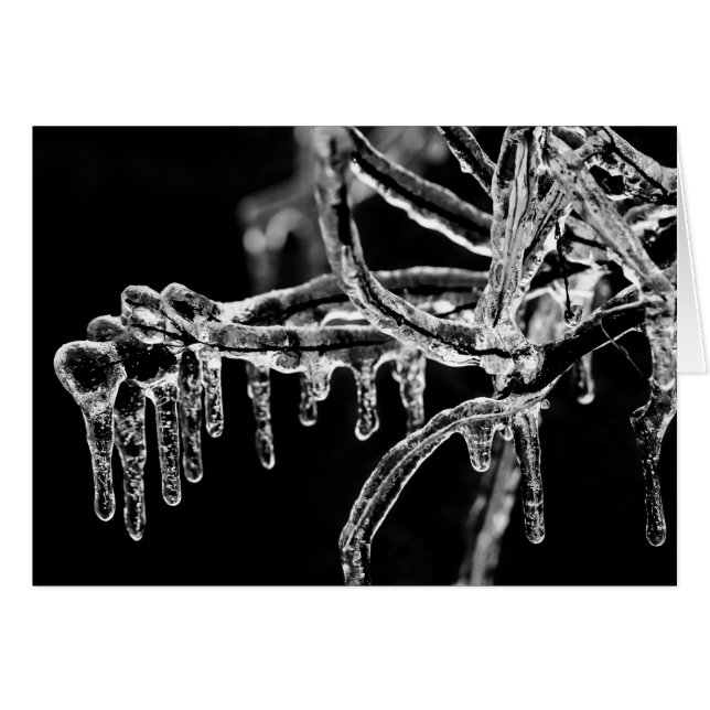 寒い冬に入る (正面横)