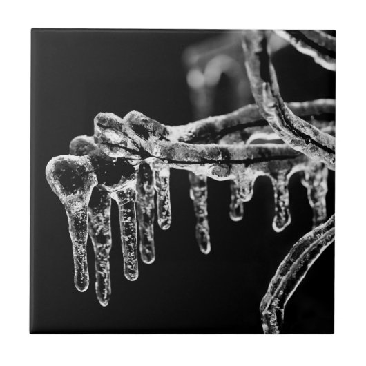 寒い冬に入る タイル (正面)