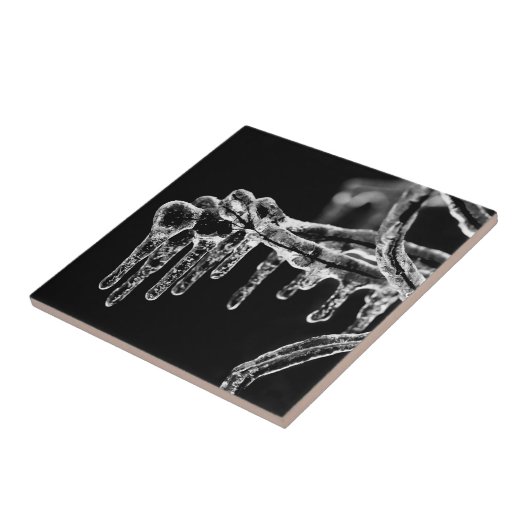 寒い冬に入る タイル (側面)