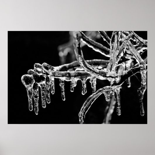 寒い冬に入る ポスター (正面)