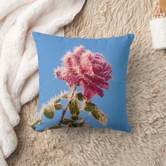 寒い冬に氷の霜が降るピンクのバラ自然- クッション (ブランケット)