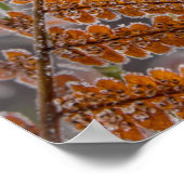 寒い冬に氷の霜を持つシダの葉自然- ポスター (角)