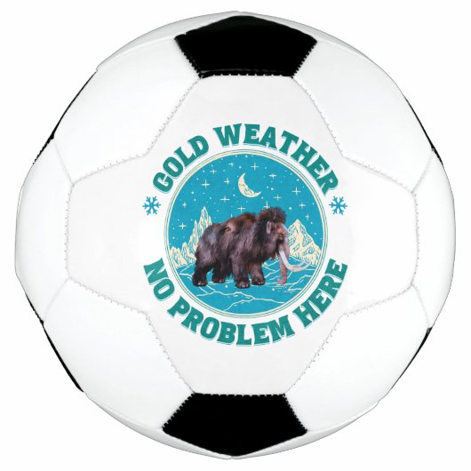 寒い天気 巨大な冬のユーモア サッカーボール (正面)