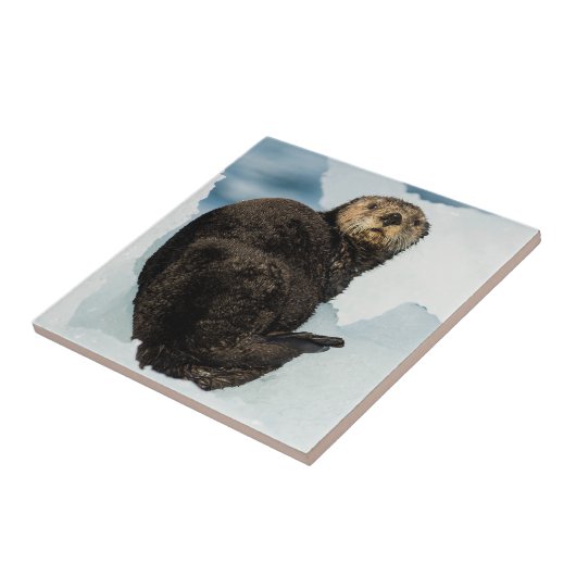 寒い海のワタ タイル (側面)