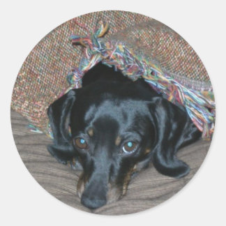 寒中の三美 ラウンドシール