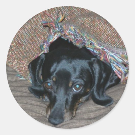 寒中の三美 ラウンドシール (正面)