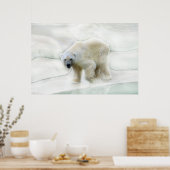 寒冷を帯びる ポスター (キッチン)