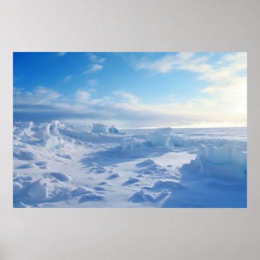 寒冷極自然力災害時の地球 ポスター (正面)