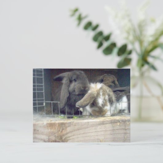 寛大さ ポストカード (スタンド正面)