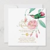 寛大なミントピンクハミングバードフローラつる植物花 (正面)