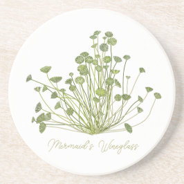 寛骨臼性海藻石コースター コースター