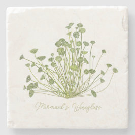 寛骨臼性海藻石コースター ストーンコースター