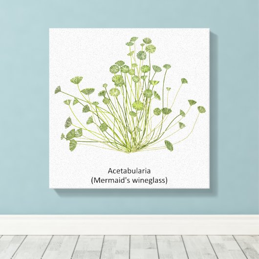 寛骨臼（人魚のワイングラス）手描き キャンバスプリント (インサイチュ (ウッドフロア))