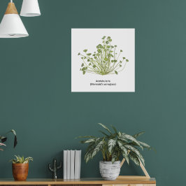 寛骨臼（人魚のワイングラス）手描き ポスター