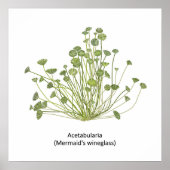 寛骨臼（人魚のワイングラス）手描き ポスター (正面)