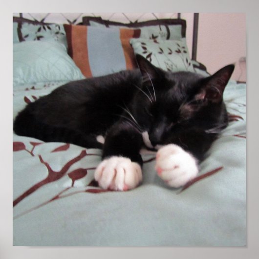 寝ているルーシー ポスター (正面)