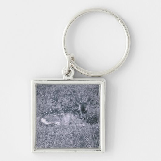 寝ている子鹿 キーホルダー (正面)