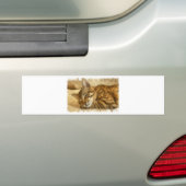 寝ている猫に鉛筆のスケッチを置く バンパーステッカー (車上)