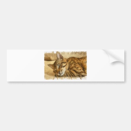 寝ている猫に鉛筆のスケッチを置く バンパーステッカー (正面)