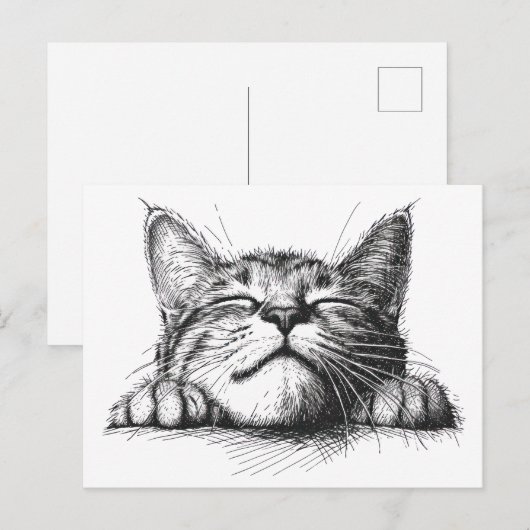 寝ている猫 ポストカード (正面/裏面)
