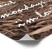 寝てるチーターなぜ月曜日の騒ぎ？ ポスター (角)