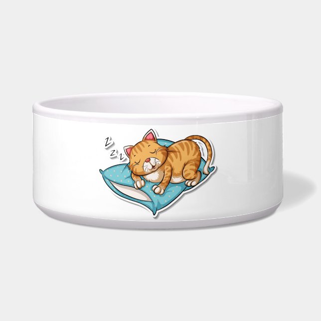 寝てる猫 ボウル (正面)