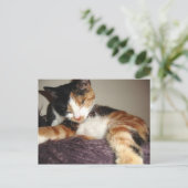 寝てる？いや目を閉じてるだけだ！ ポストカード (スタンド正面)