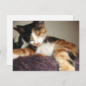 寝てる？いや目を閉じてるだけだ！ ポストカード (正面/裏面)