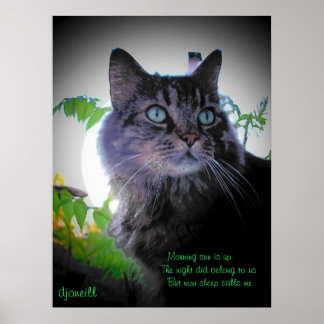 寝ると電話がかかってくる ポスター