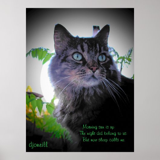 寝ると電話がかかってくる ポスター (正面)