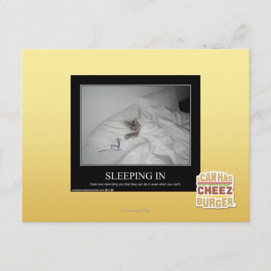 寝る ポストカード (正面)