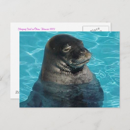 寝印 ポストカード (正面/裏面)