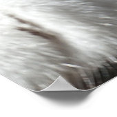 寝台猫 ポスター (角)