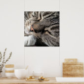 寝台猫 ポスター (キッチン)