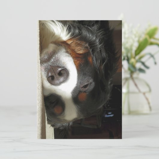 寝坊する サンキューカード (スタンド正面)