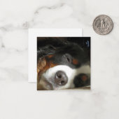 寝坊する ノートカード (正面/裏面インサイチュ)