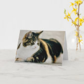 寝猫カードカリコ猫 カード (黄色い花)