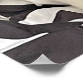 寝猫ポスター ポスター (角)