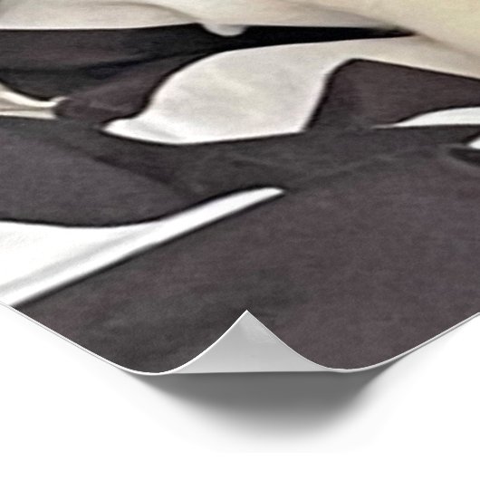 寝猫ポスター ポスター (角)