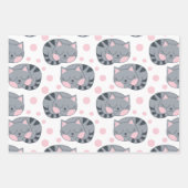 寝猫包み紙シートセット ラッピングペーパーシート (正面)