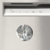 寝猫磁石 マグネット (インサイチュ (食洗機))