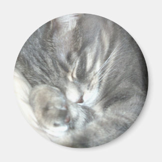 寝猫磁石 マグネット